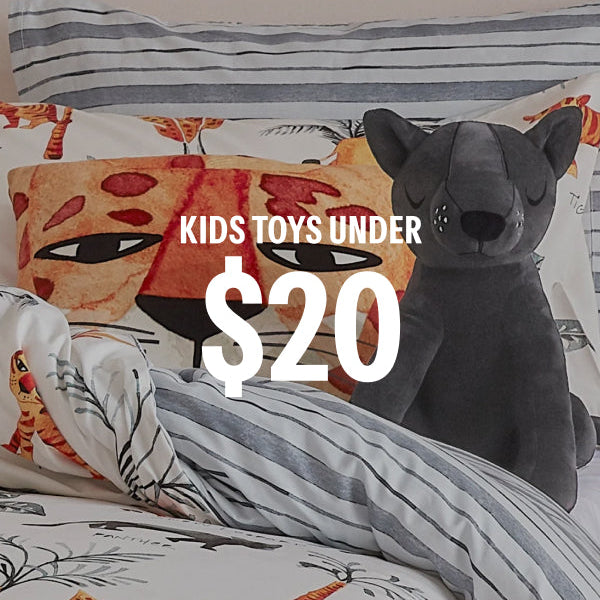 Kids Toys Under $20