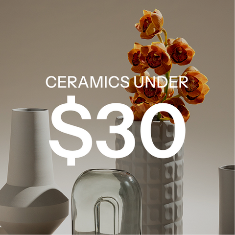 Ceramics Under $30