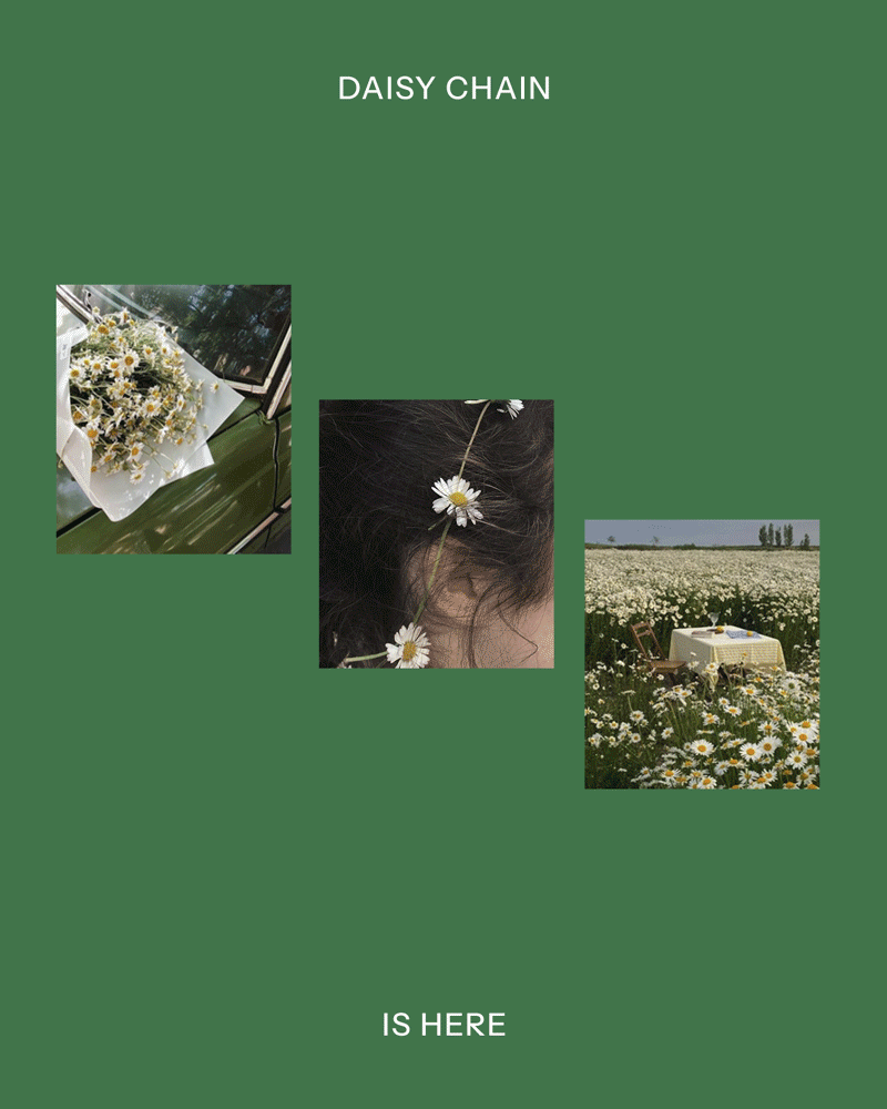 bsdaisychain.gif